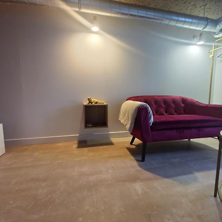 Le Cocon Troglodyte Apartment Saint-Etienne-de-Chigny Luaran gambar