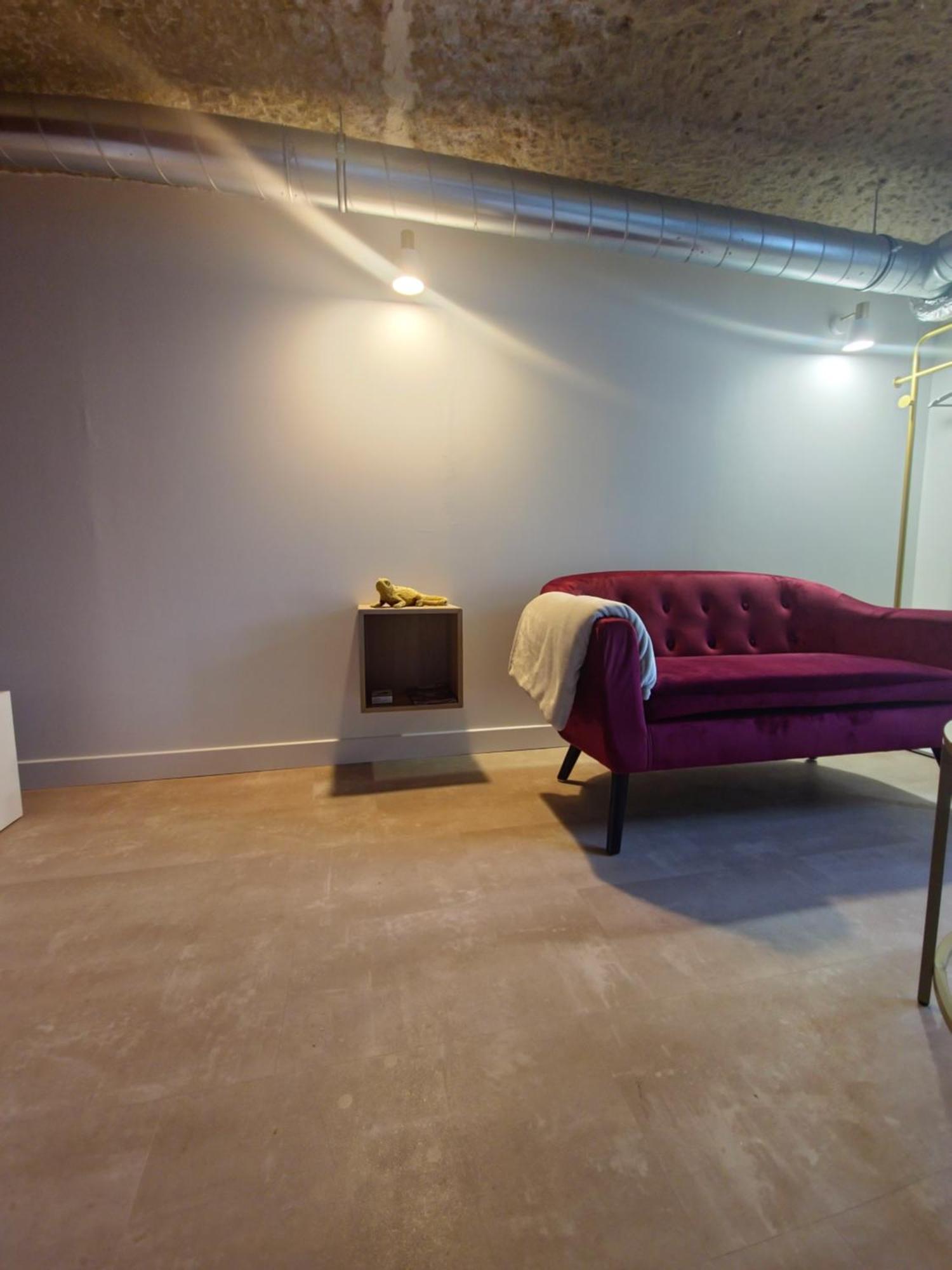 Le Cocon Troglodyte Apartment Saint-Etienne-de-Chigny Luaran gambar
